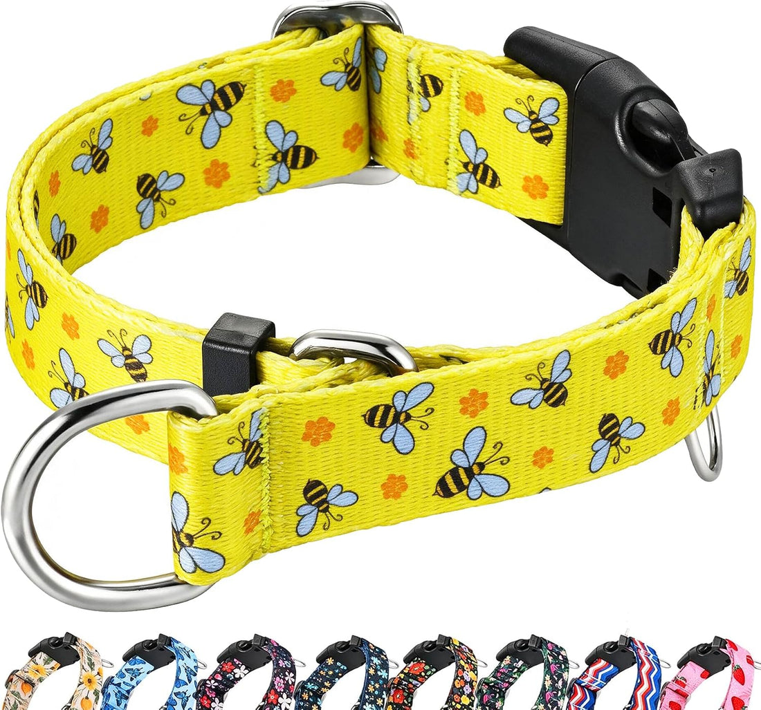 Martingale Collar for Dogs with Buckle Adjustable Nylon Slip No Pull