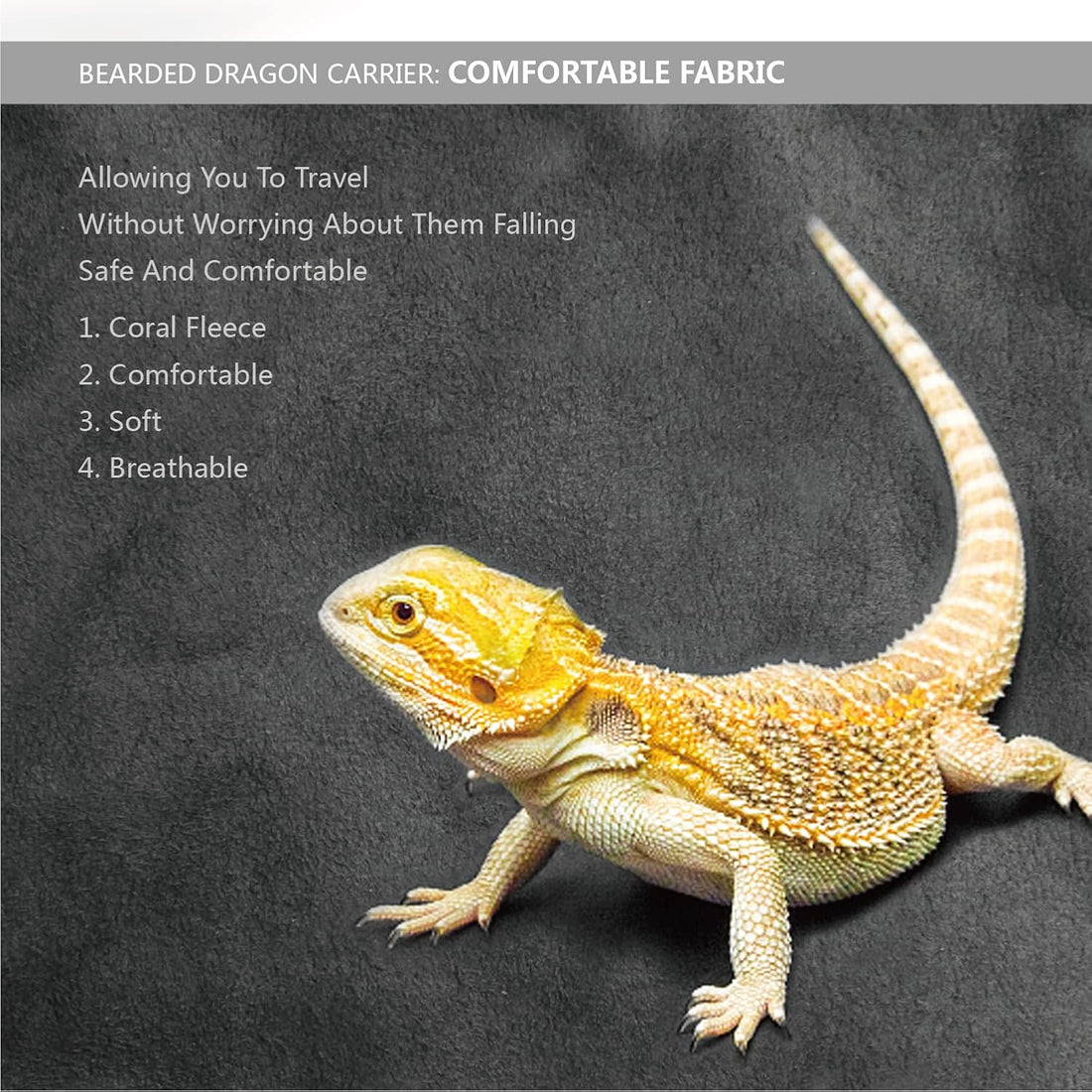 Bearded Dragon Leash and Harness Set, Beardie Carrier