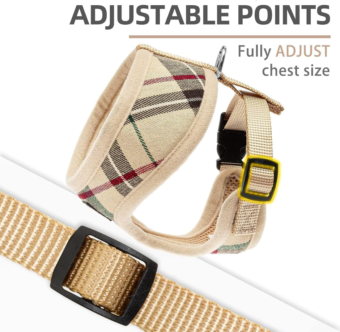 PUPTECK Soft Mesh Dog Harness Small Sized and Leash Set Pet Puppy Cat