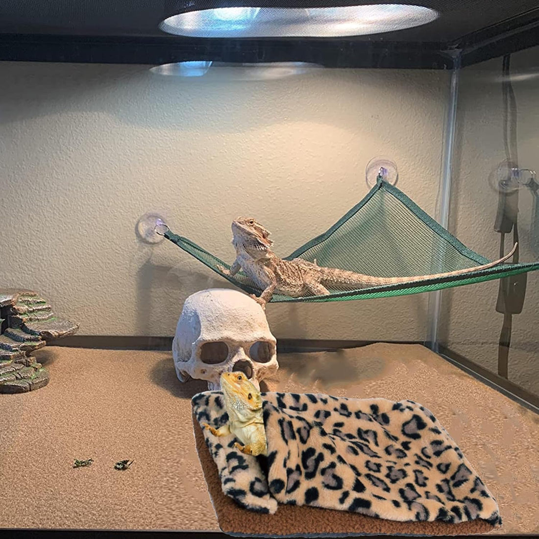 ADOGGYGO Bearded Dragon Bed Blanket Pillow Set