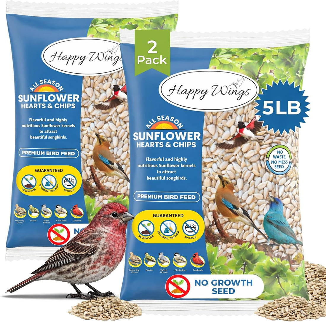 Happy Wings 5LB Sunflower Heart & Chips (Kernels) Bird Food, No Waste