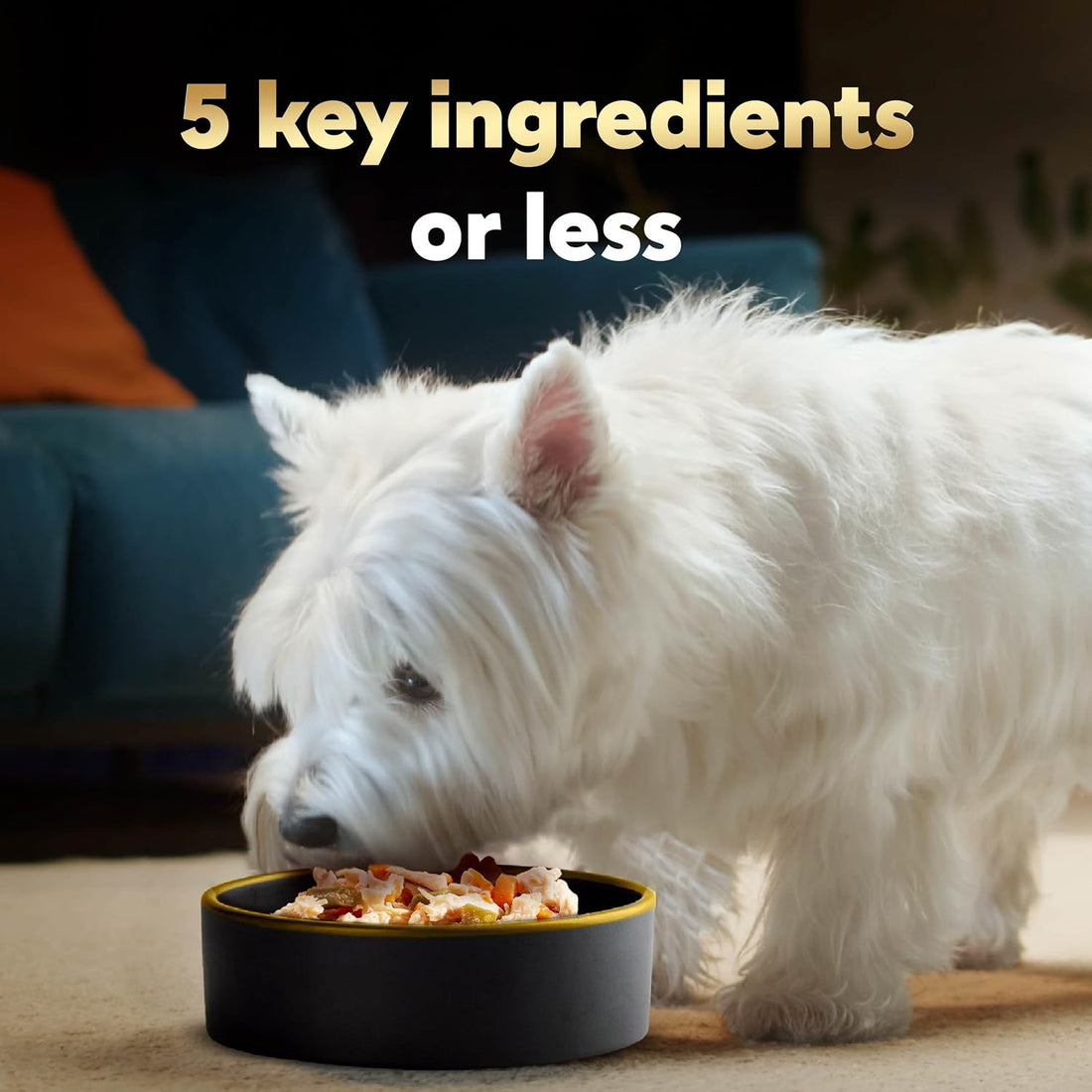 Cesar Simply Crafted Wet Dog Food Topper, Beef, 8.82 oz, 6 Count