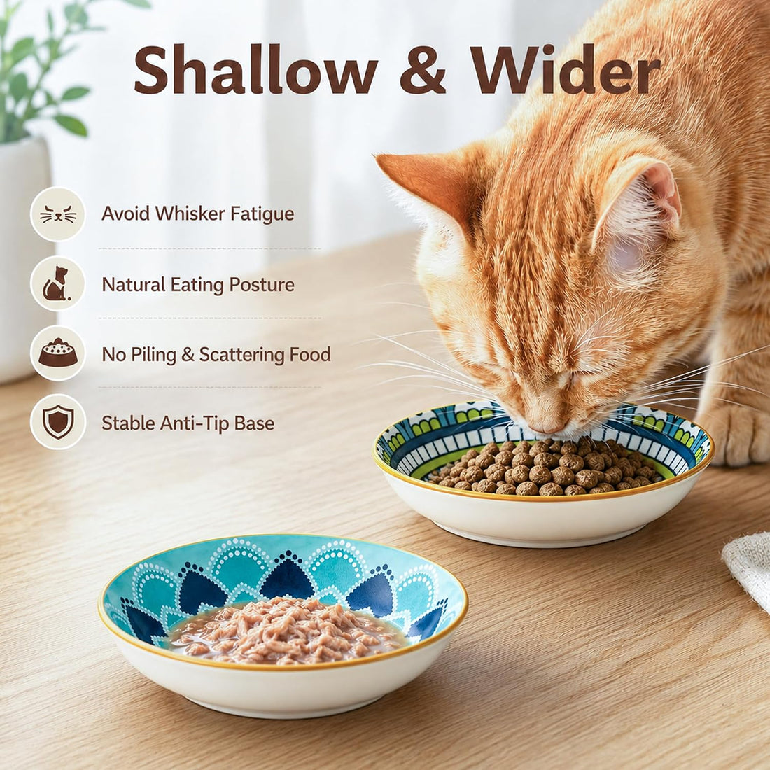 Ceramic Cat Bowls Set of 6 - Colorful Cute Shallow Cat Dishes