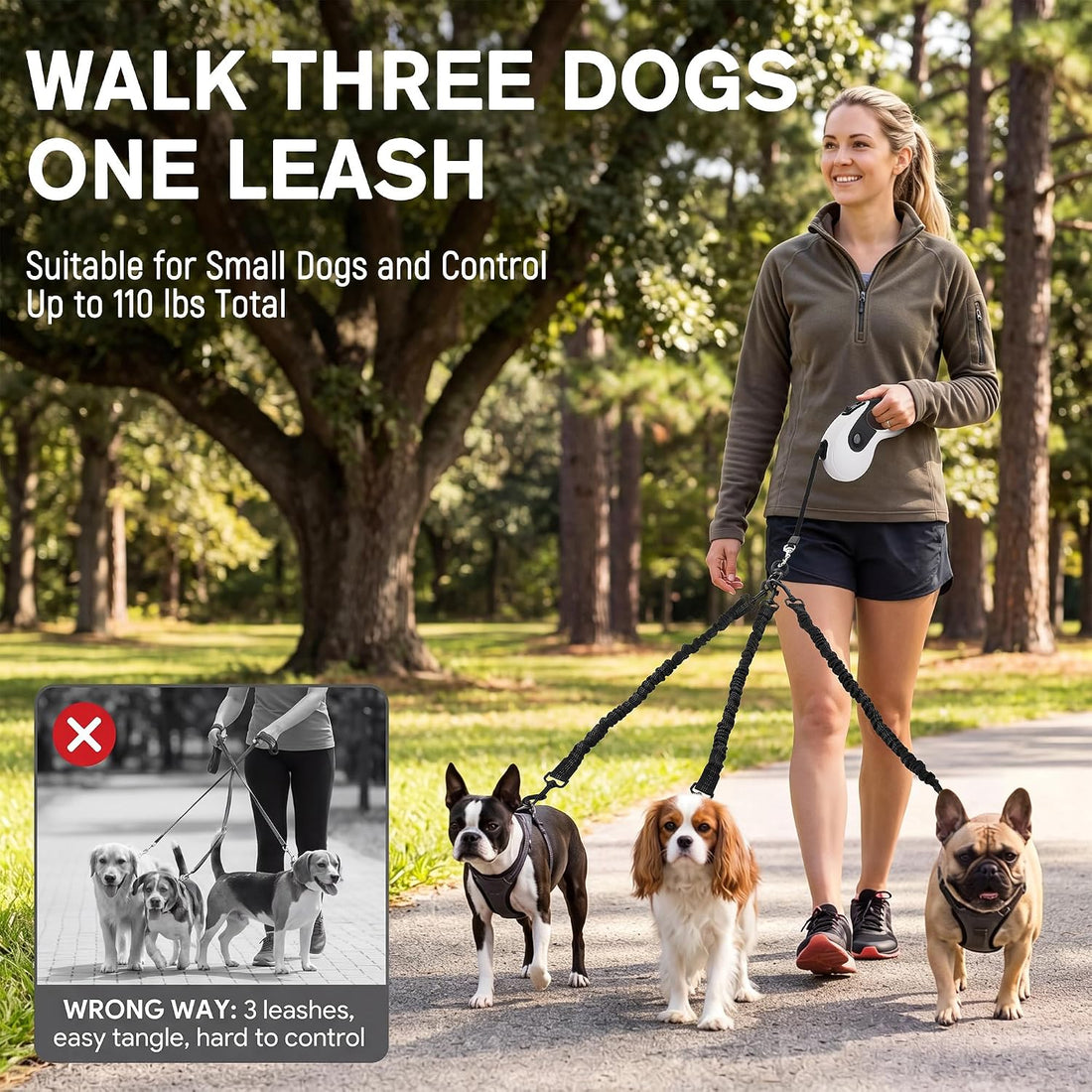 Eccliy Retractable Dog Leash