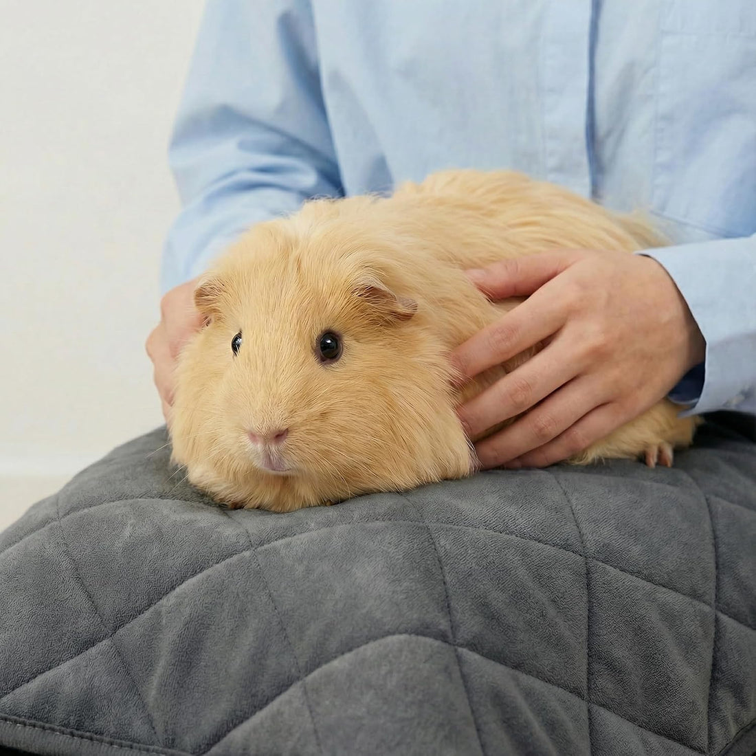 Guinea Pig Fleece Bedding, 49"x24" Cage Liner 2 Pack for Midwest Cage