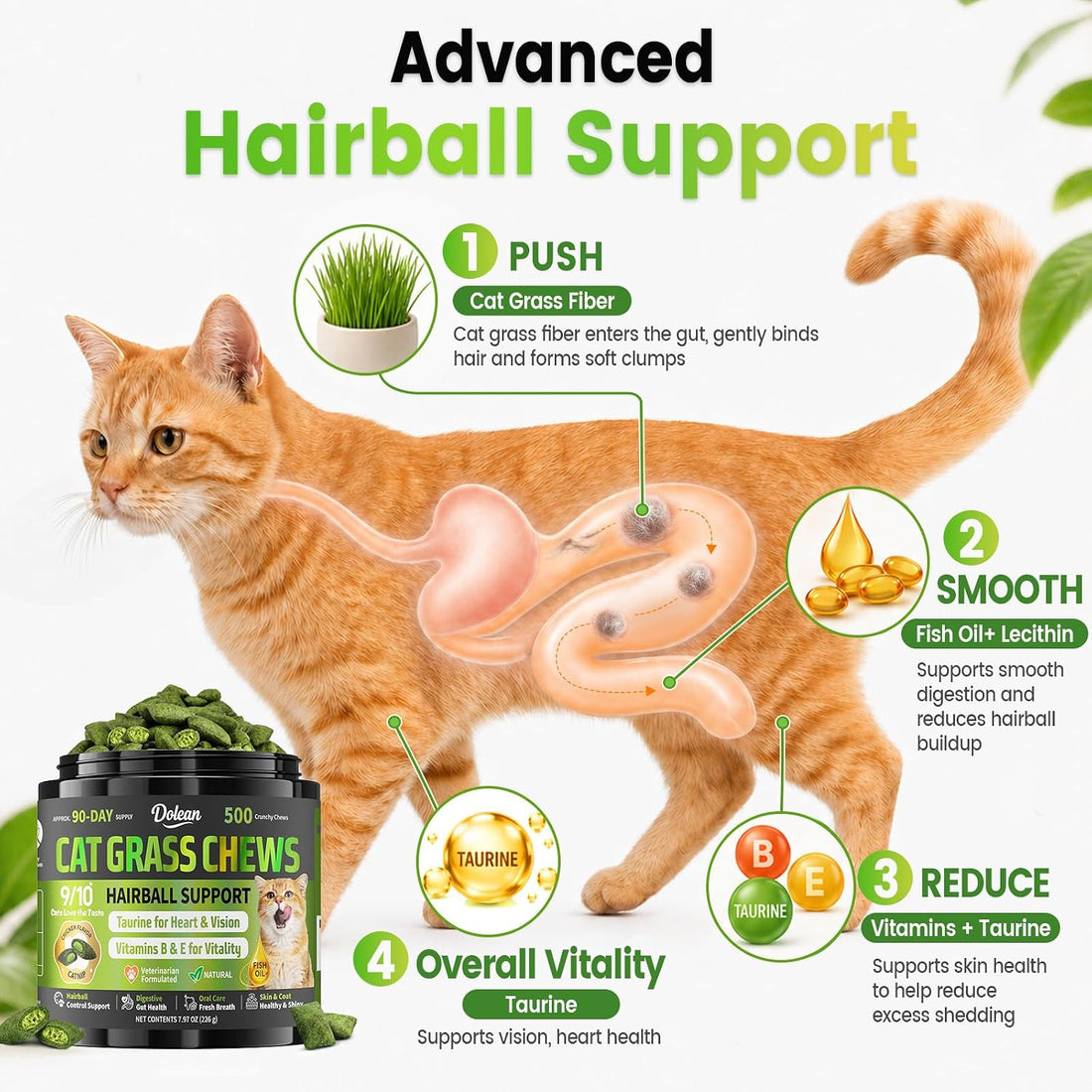 Cat Grass Treats, Hairball Treatment for Cats, for Indoor Cats
