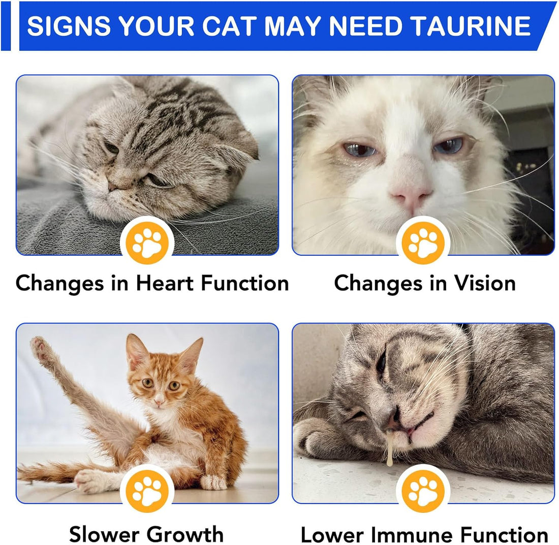 2 Pack Taurine Drops for Cats - Eyesight, Heart