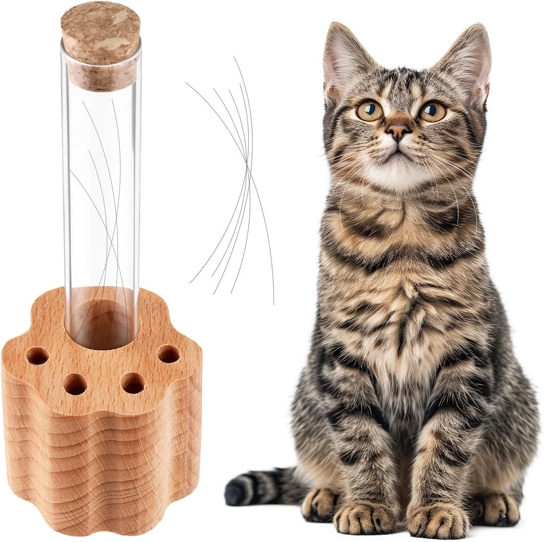 Cat Whisker Jar Mini Whisker Vase Glass Whiskers Holder Transparent