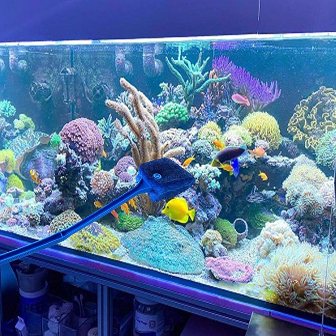 3 PCS Double-Sided AOODOOM Aquarium Fish Tank Algae Cleaning Brush