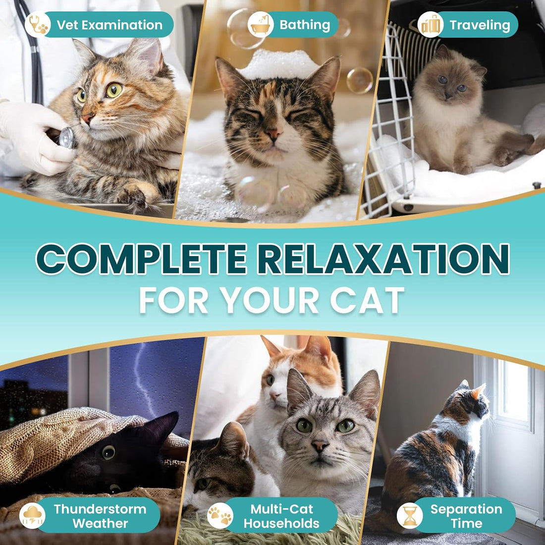 Cat Calming Treats 140 Soft Chews for Indoor Cats All Breeds & Ages