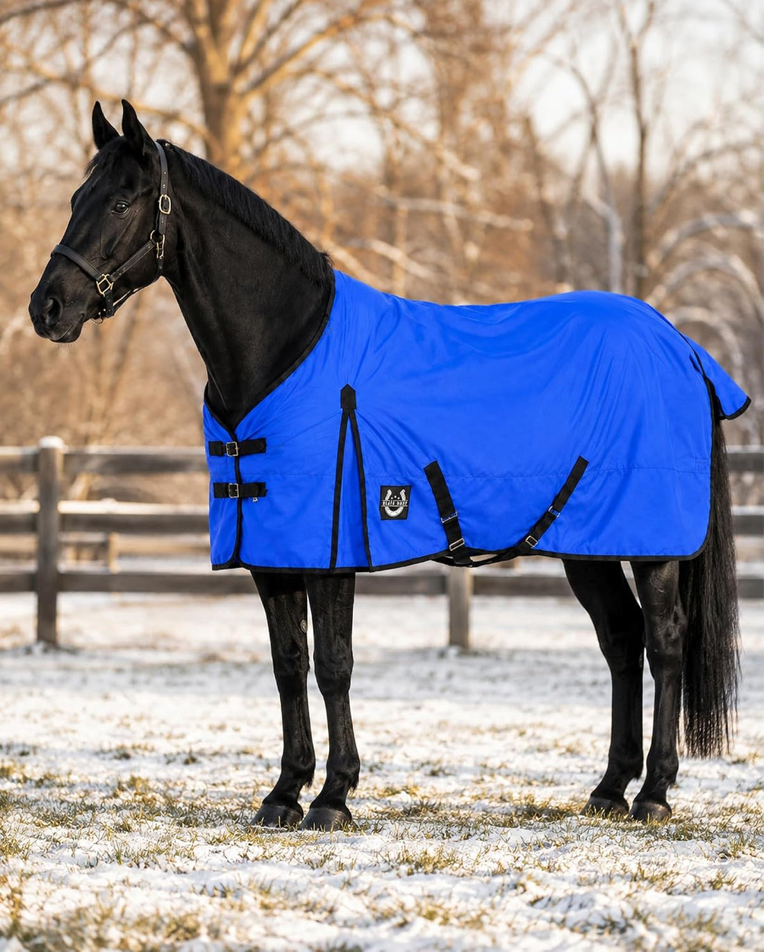 Horse Blanket 600D Ripstop Winter Turnout Blanket, 250 GSM Polyfill