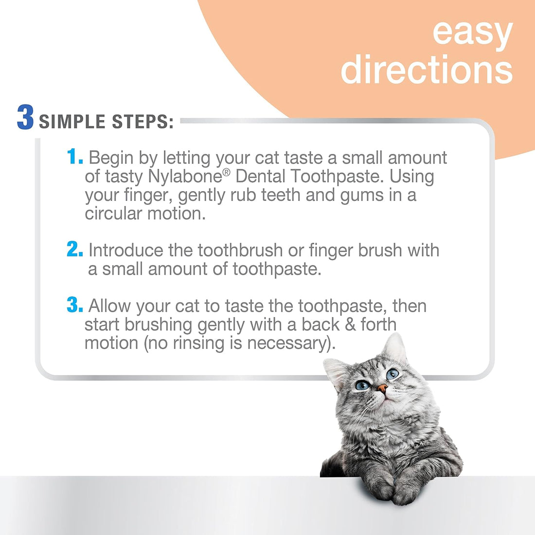 Nylabone Advanced Oral Care Dental Kit