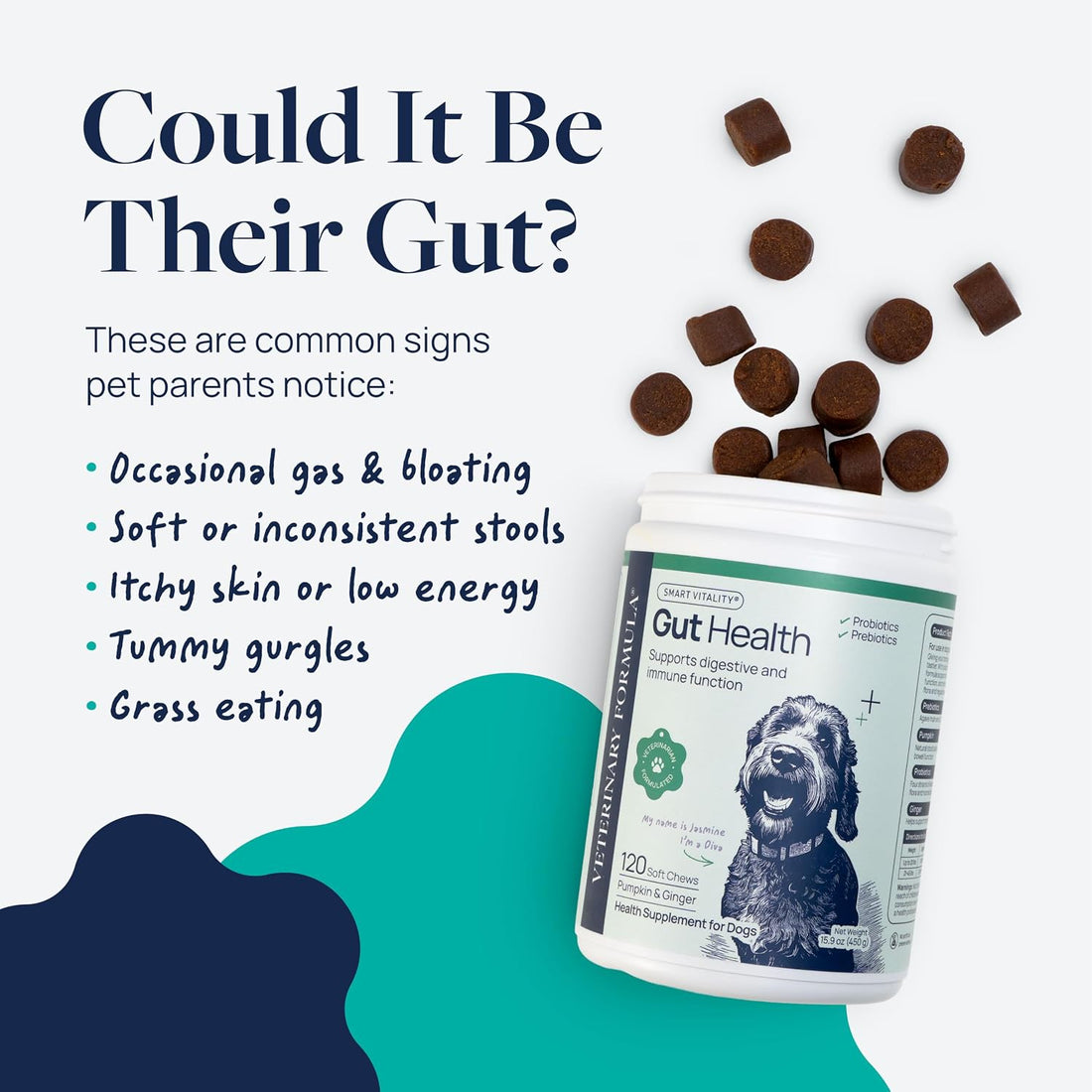 Veterinary Formula Smart Vitality Gut Health Soft Chews for Dogs