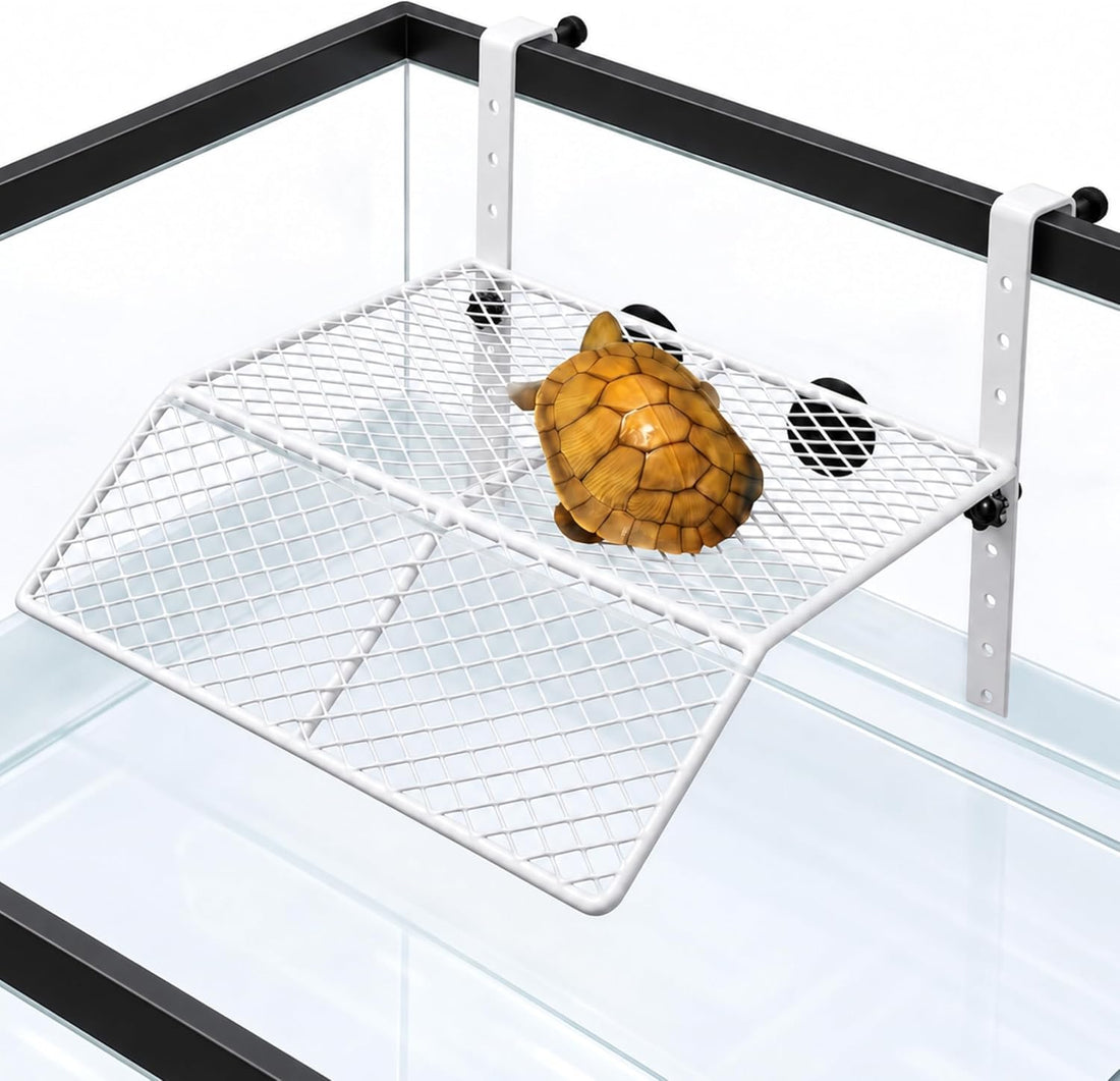 Large Turtle Basking Platform,11in*11in*1.6in, Heavy Duty