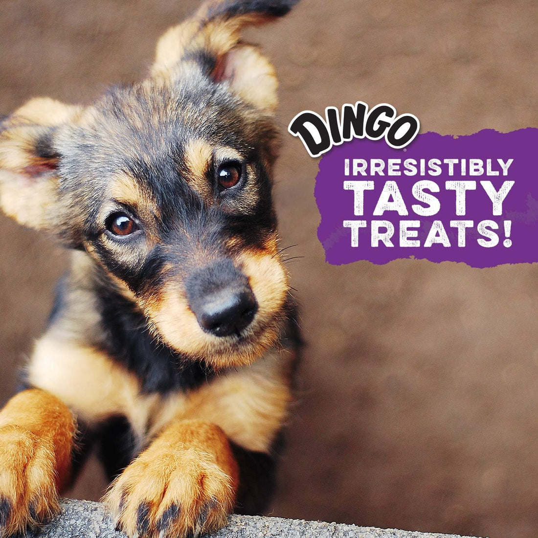 Dingo Mini Bone Rawhide Dog Treat For Small Dogs, 21 Count