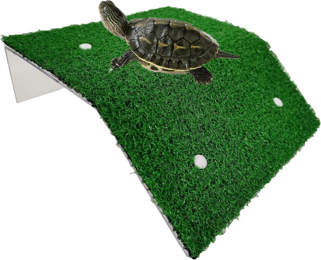 alfyng Small Turtle Resting Basking Platform