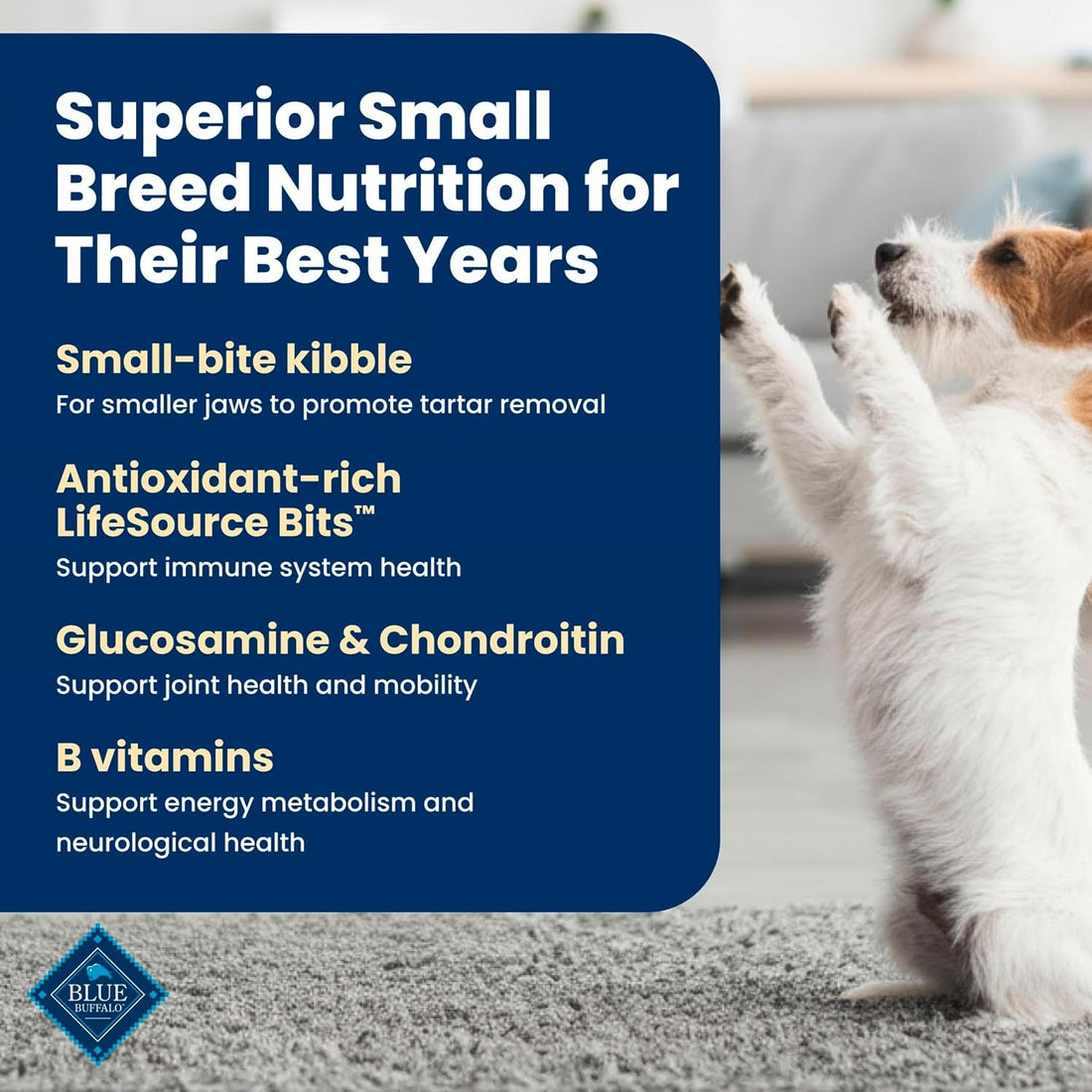 Blue Buffalo Life Protection Formula Chicken Small Senior Dog Food