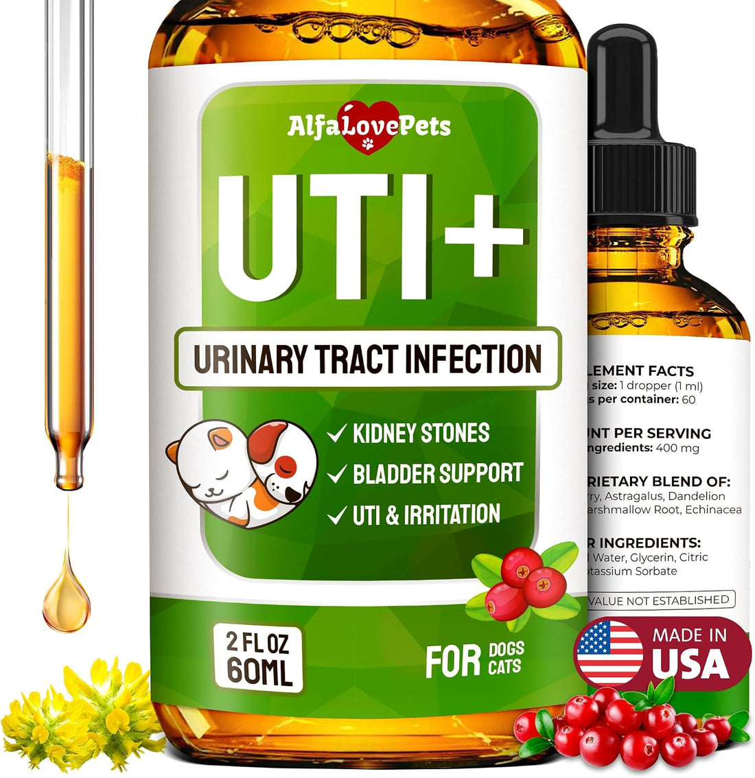 Cat UTI Treatment for Frequent Urination, Bladder & Kidney Irritation