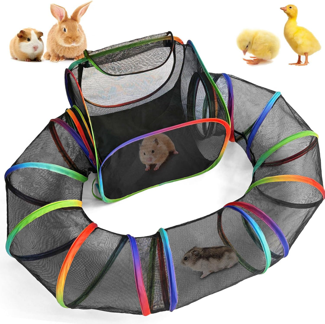 Guinea Pig Playpen with Tunnel