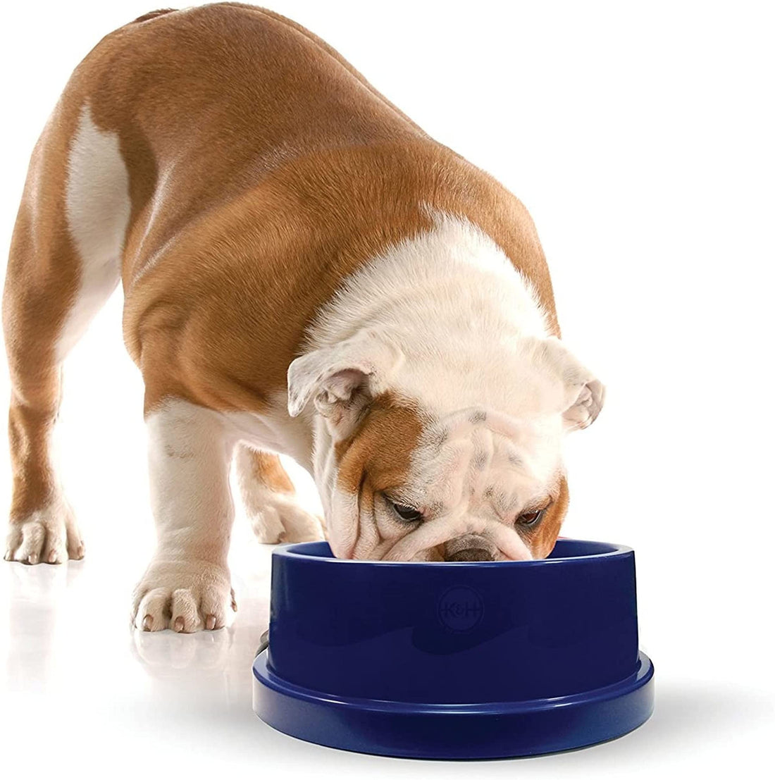 K&H Pet Products Coolin' Dog Water Bowl