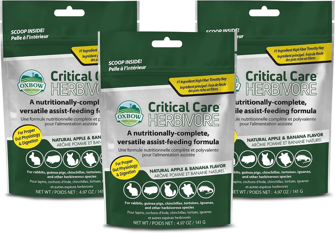Oxbow Critical Care Herbivore Small Pet Formula, Apple Banana, 141g