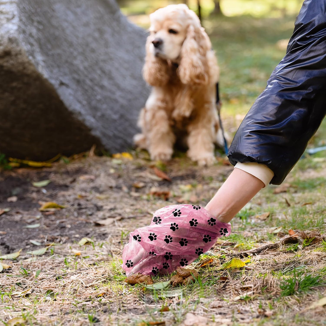 Dyforce 600 Count Dog Poop Bags Rolls with Dispenser