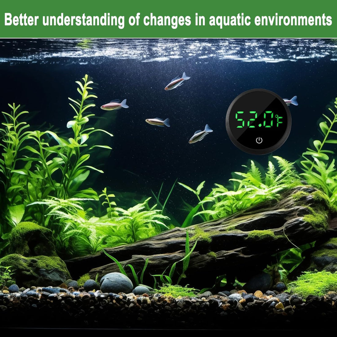 Aquarium Thermometer Digital Fish Tank Thermometer with Spare Battery