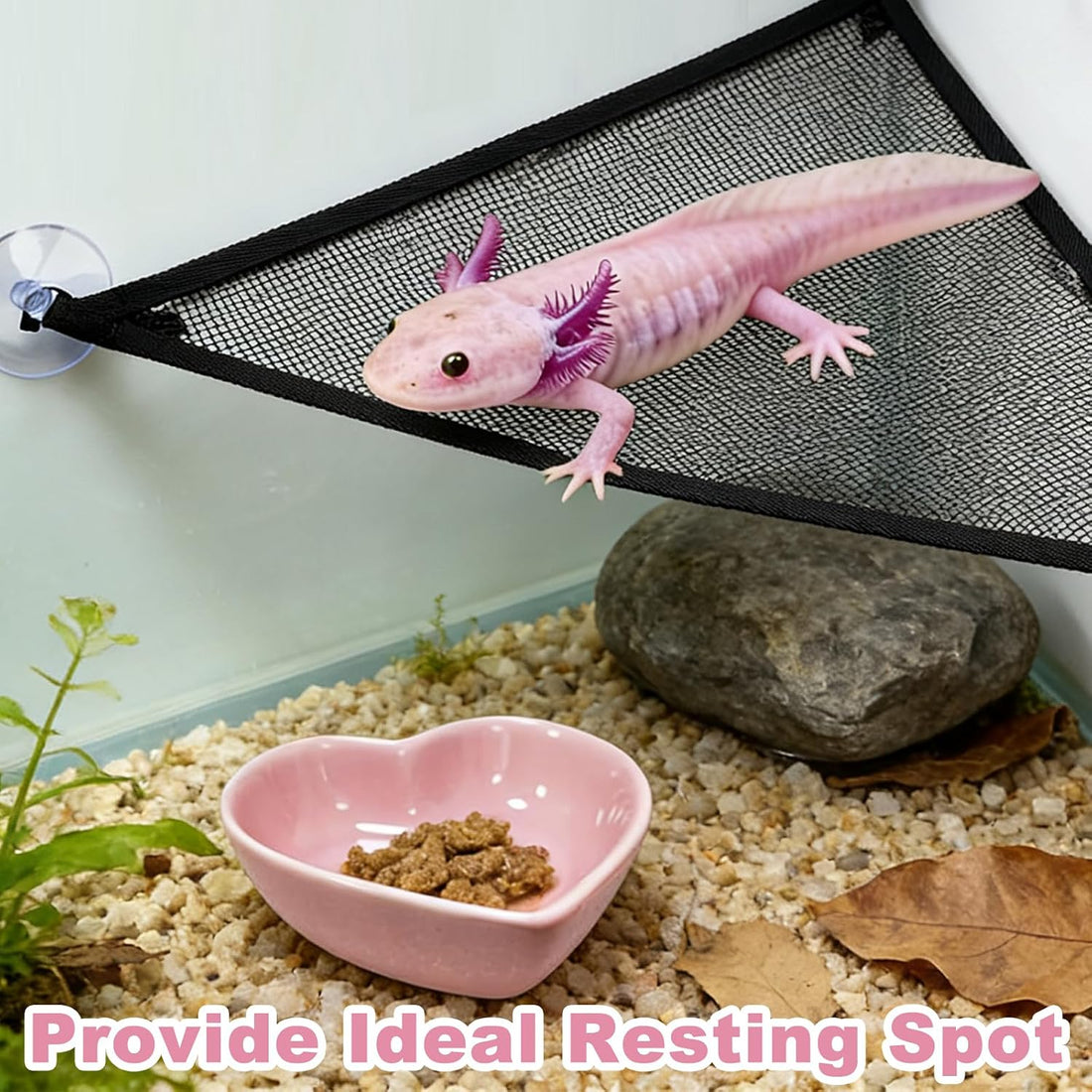 Axolotl Hammock for Aquarium with Feeding Bowl