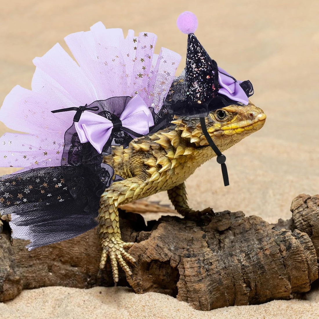 2pcs Bearded Dragon Witch Costume Set Small Pet Adjustable Hat Bow