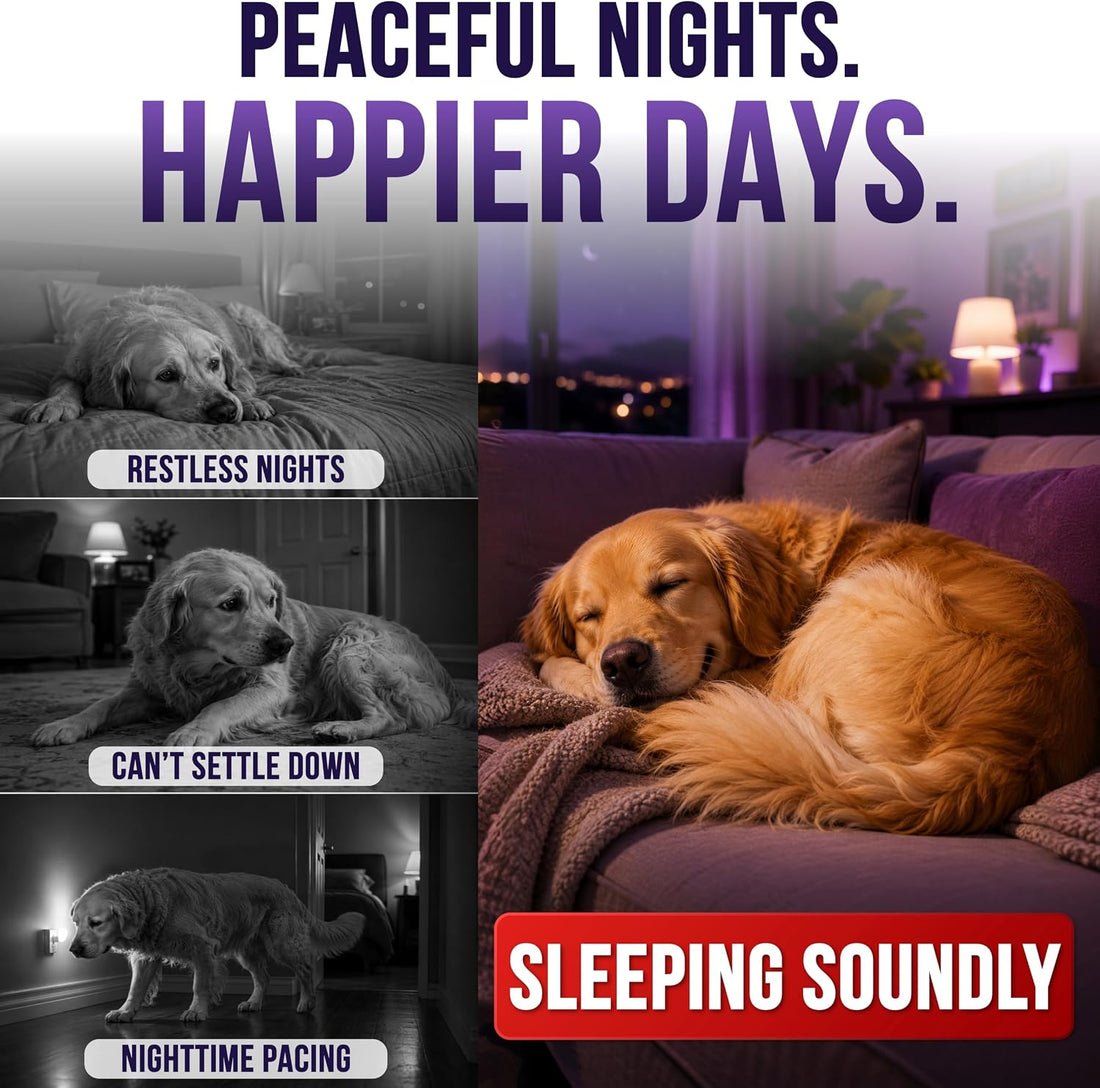Melatonin for Dogs - 250 Chews