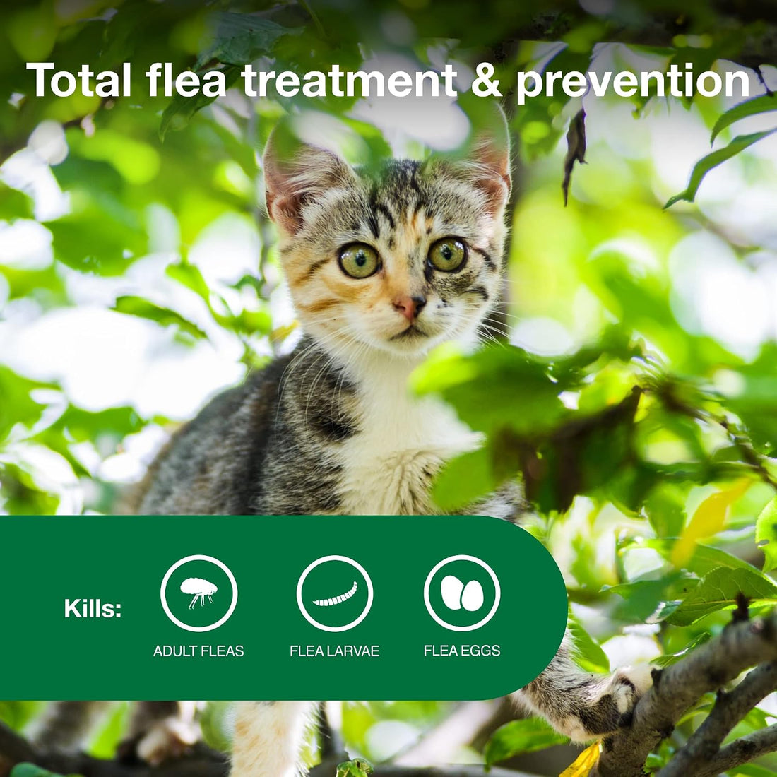 Advantage II Kitten Vet-Recommended Flea Treatment & Prevention