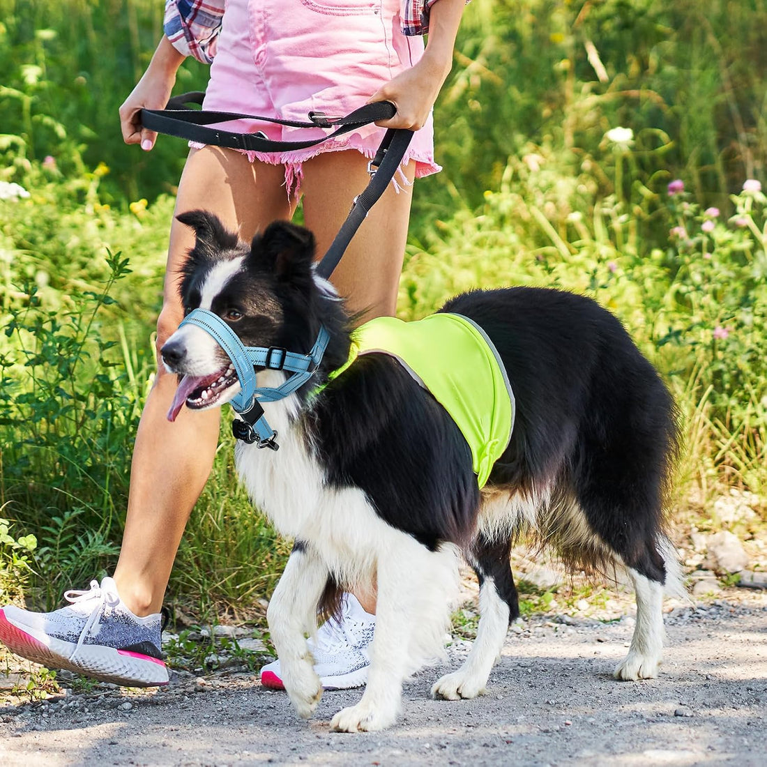 Weesiber No-Pull Dog Head Collar