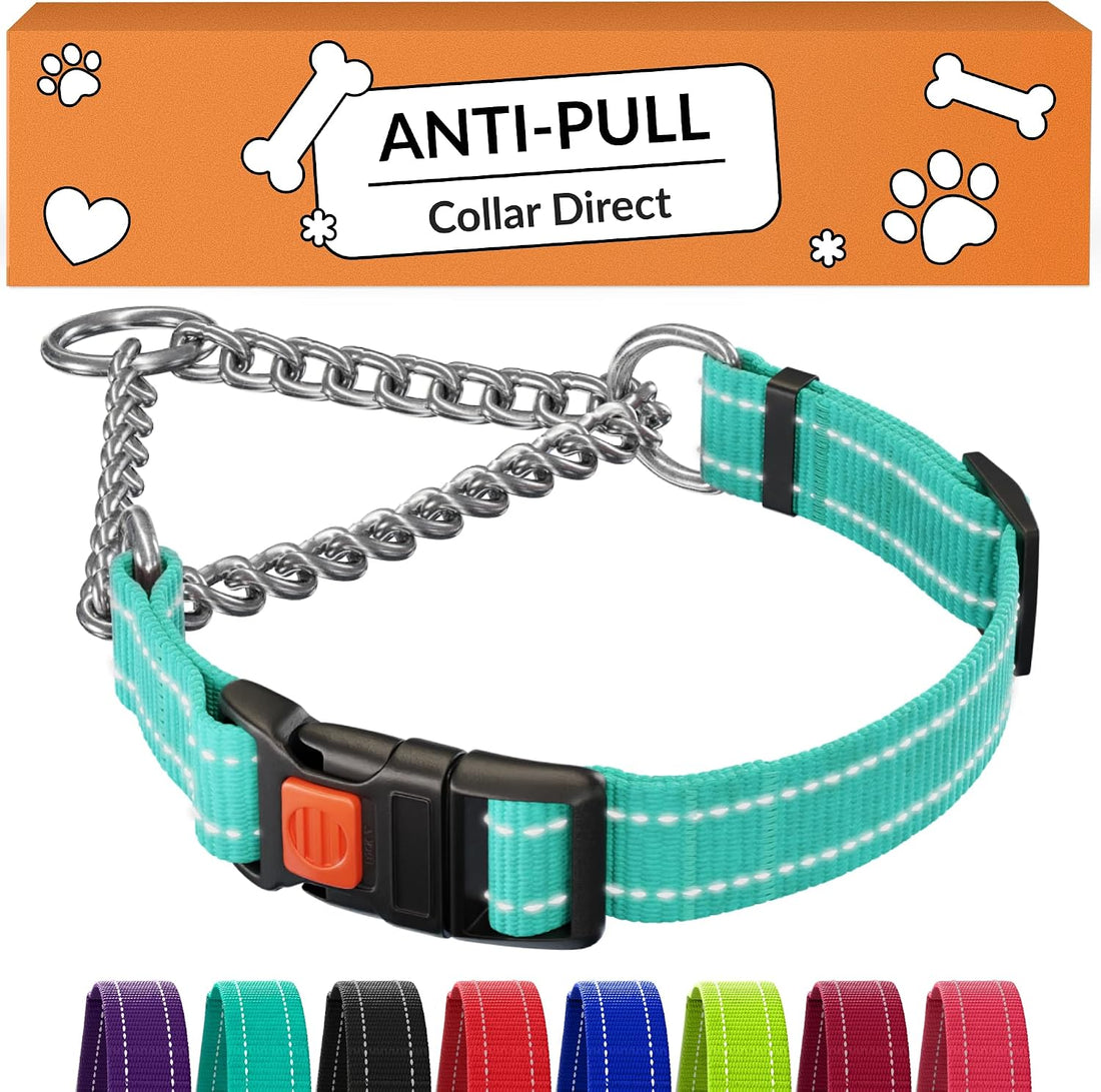CollarDirect Martingale, Steel Chain, Reflective (L, 17-22", Pink)