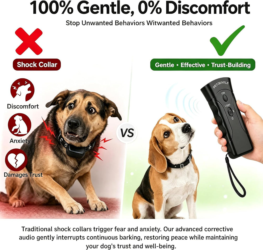 Pet Trainer - 2-in-1 Handheld Dog Deterrent Behavior Assistant