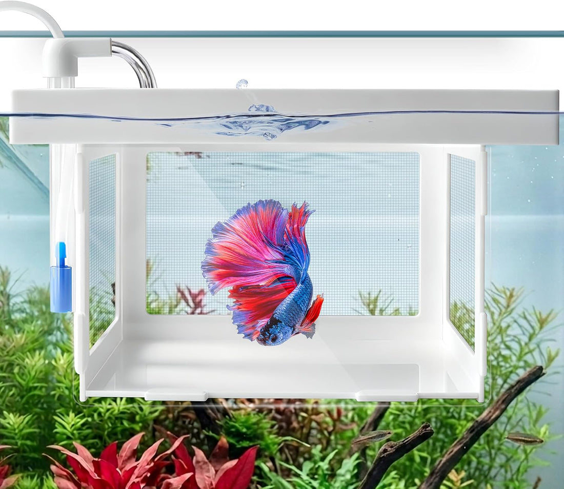 Floating Aquarium Breeder Box, Fish Acclimation & Isolation Tank