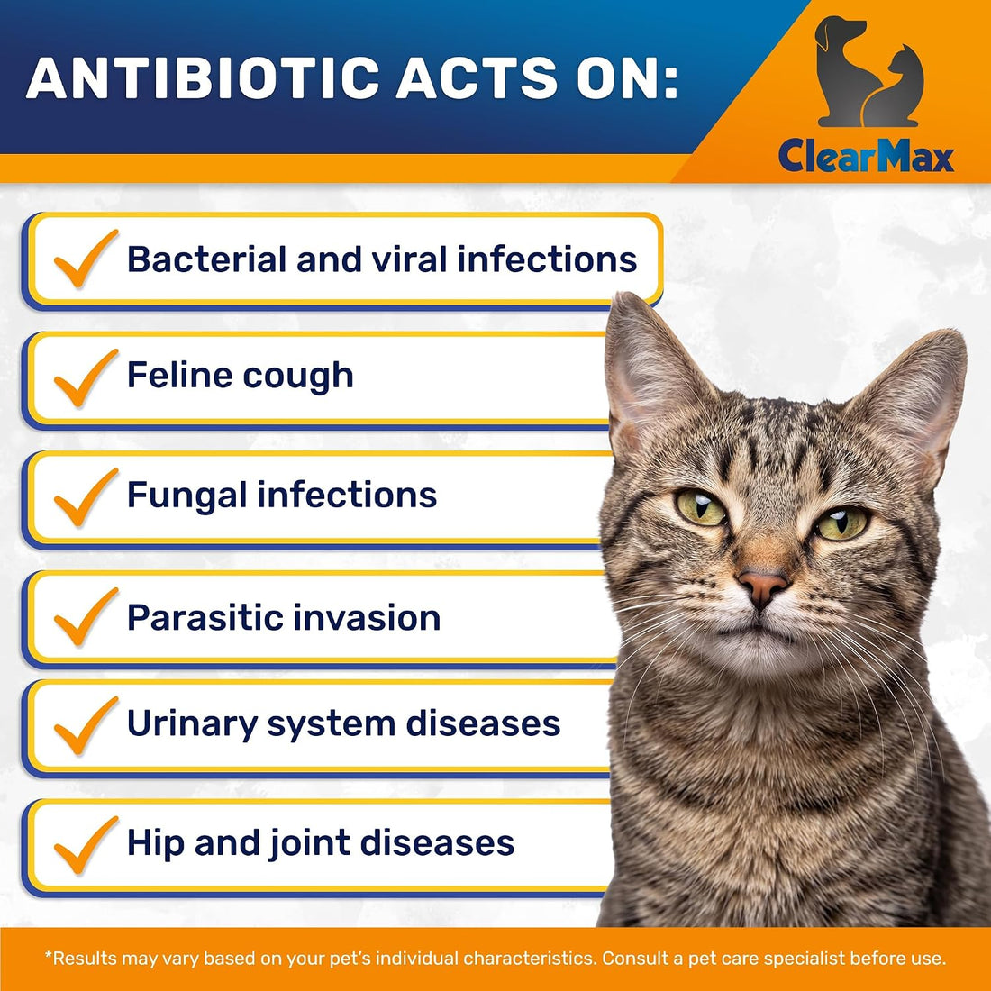 Cat Antibiotic Respiratory Support During Cough & Allergies