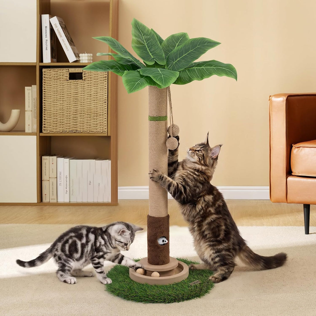 Woochpet Cat Scratching Post 35'' Tall Cat Scratcher Tree Tower