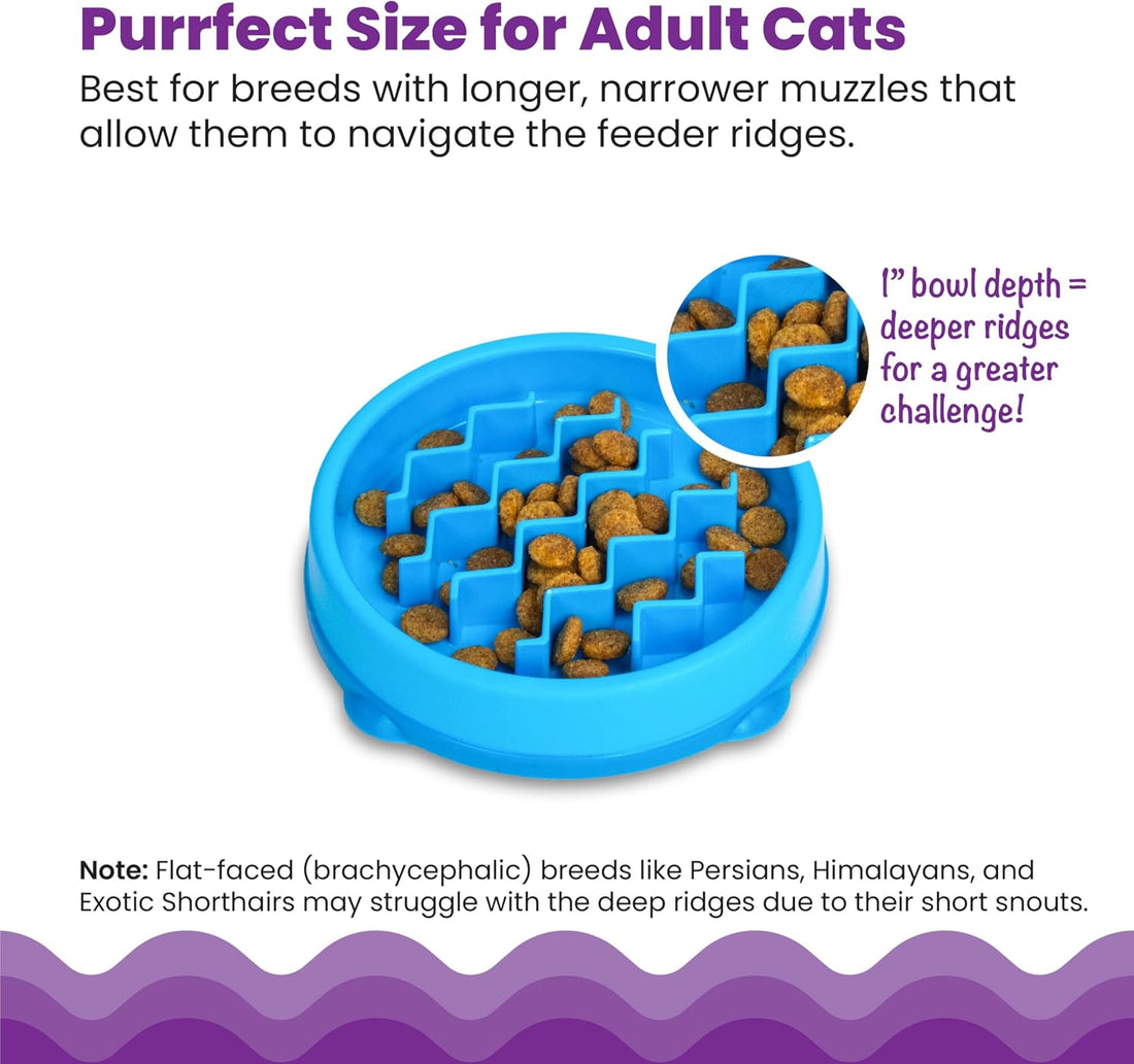 Catstages Kitty Slow Feeder Bowl for Cats & Kittens, 3/4 Cup, Blue, 5"