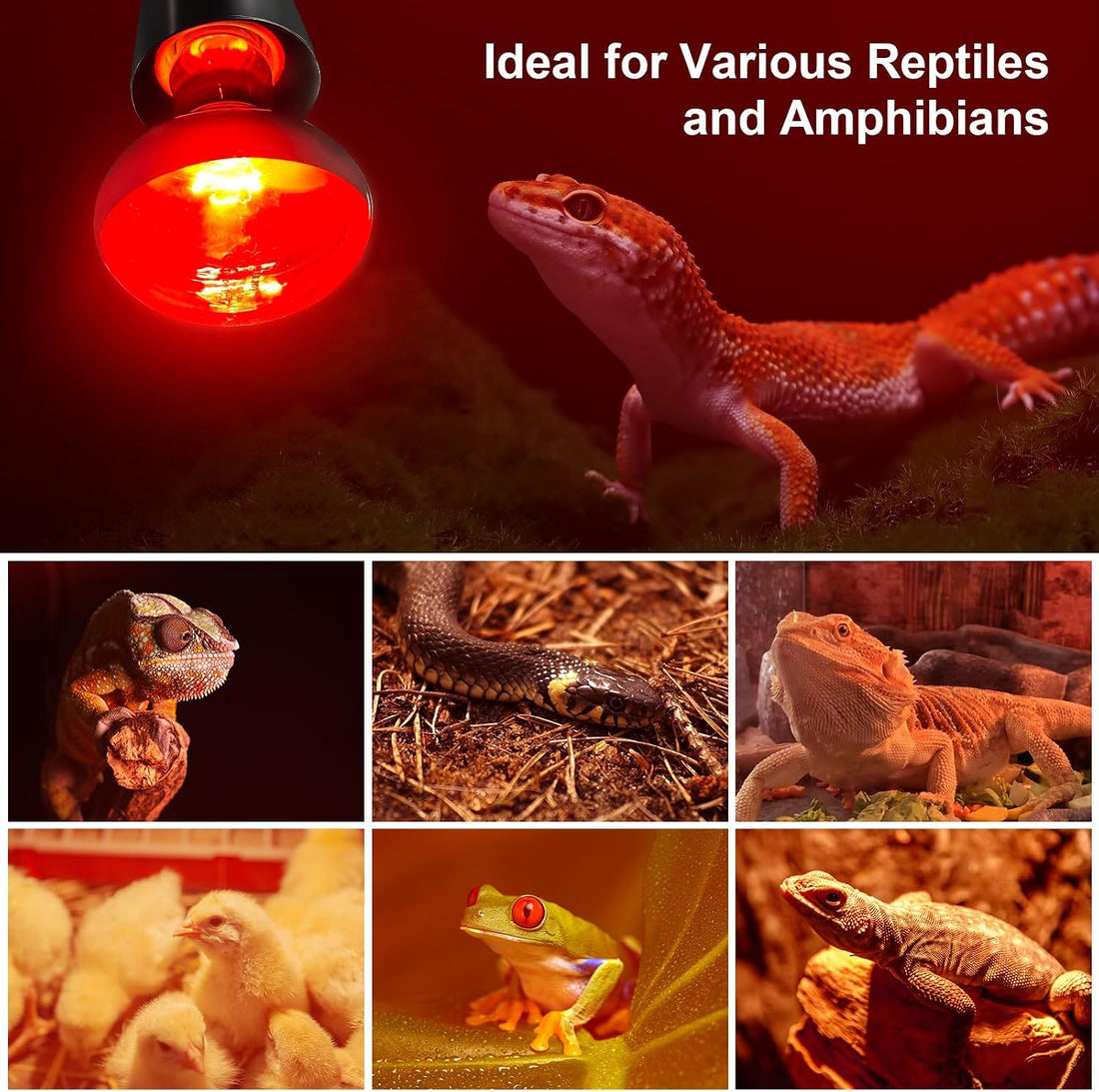 MIXJOY 100W Infrared Heat Lamp Bulbs