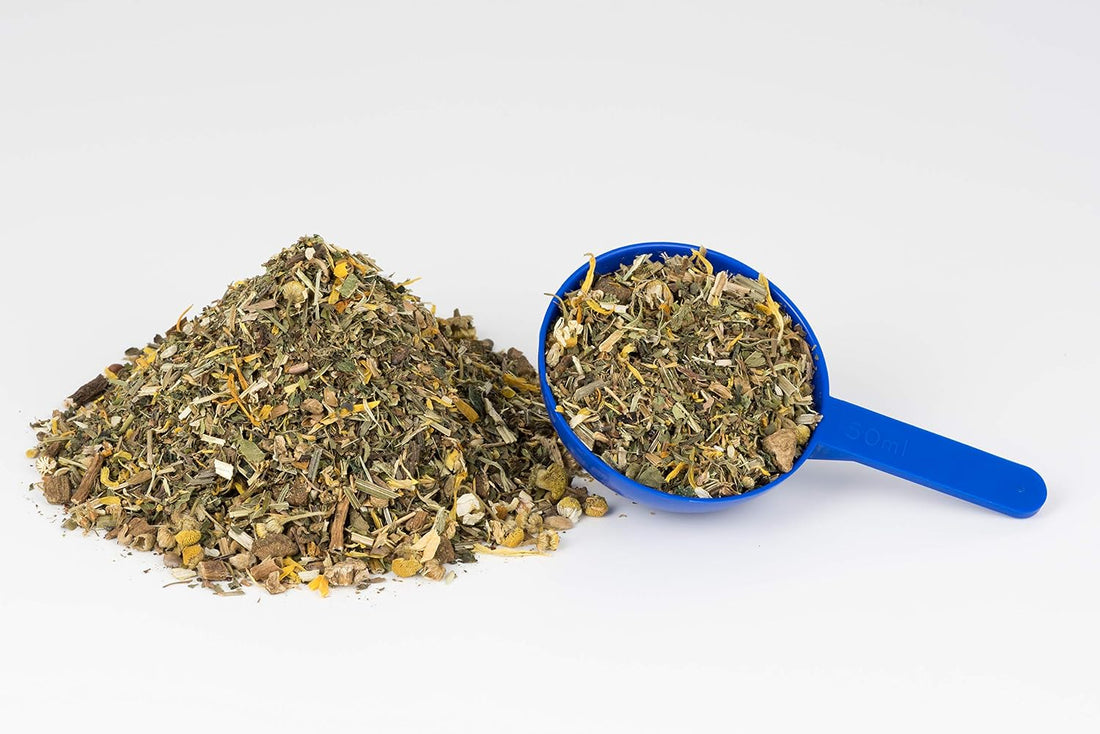 Herb Power: Supports All Year Round Natural Health