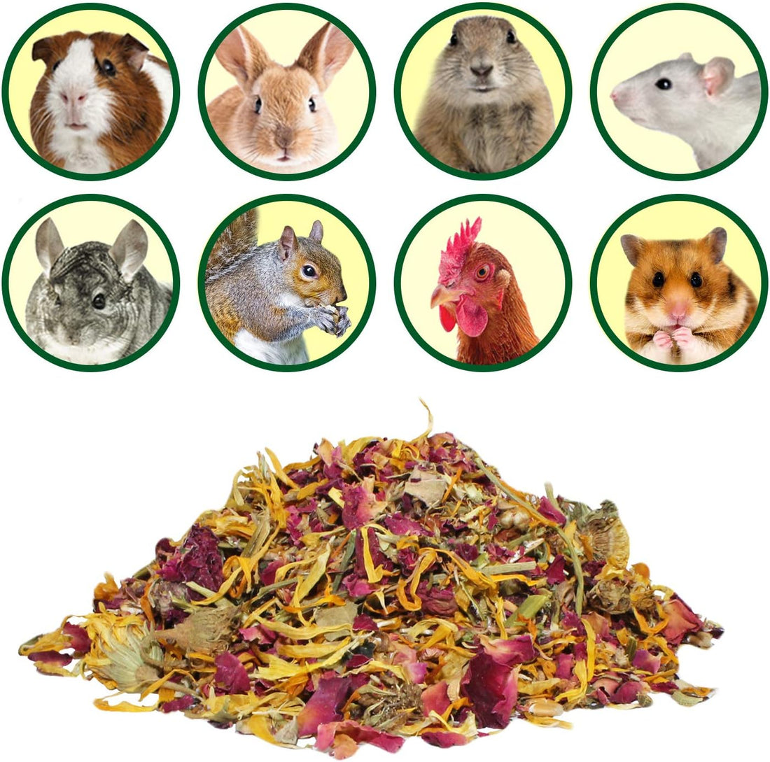 Exotic Nutrition Flower Treat 3 Pack - Healthy Assortment - Hibiscus