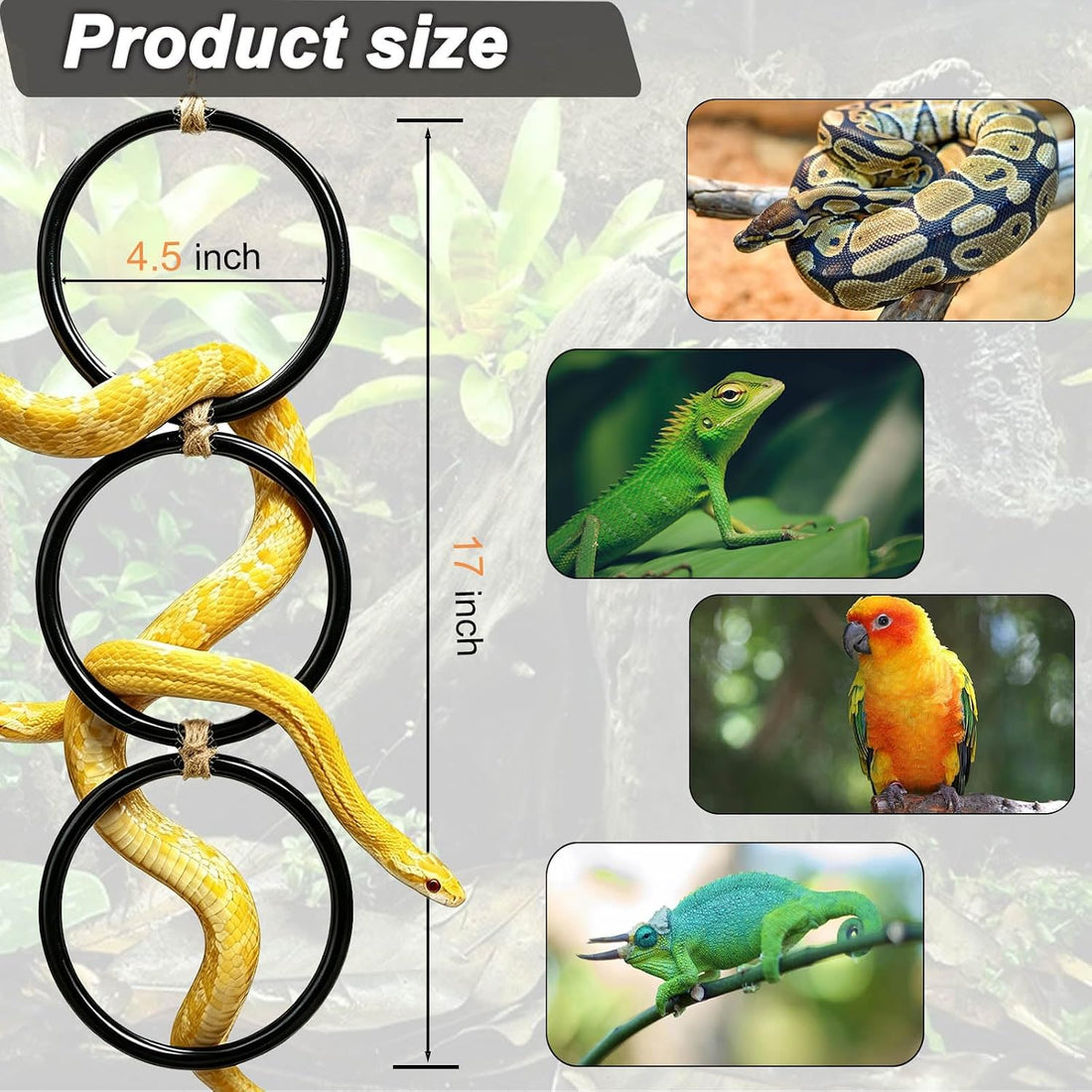 Ball Python Tank Accessory with 1 Pack Snake Climbing Ring for Decor