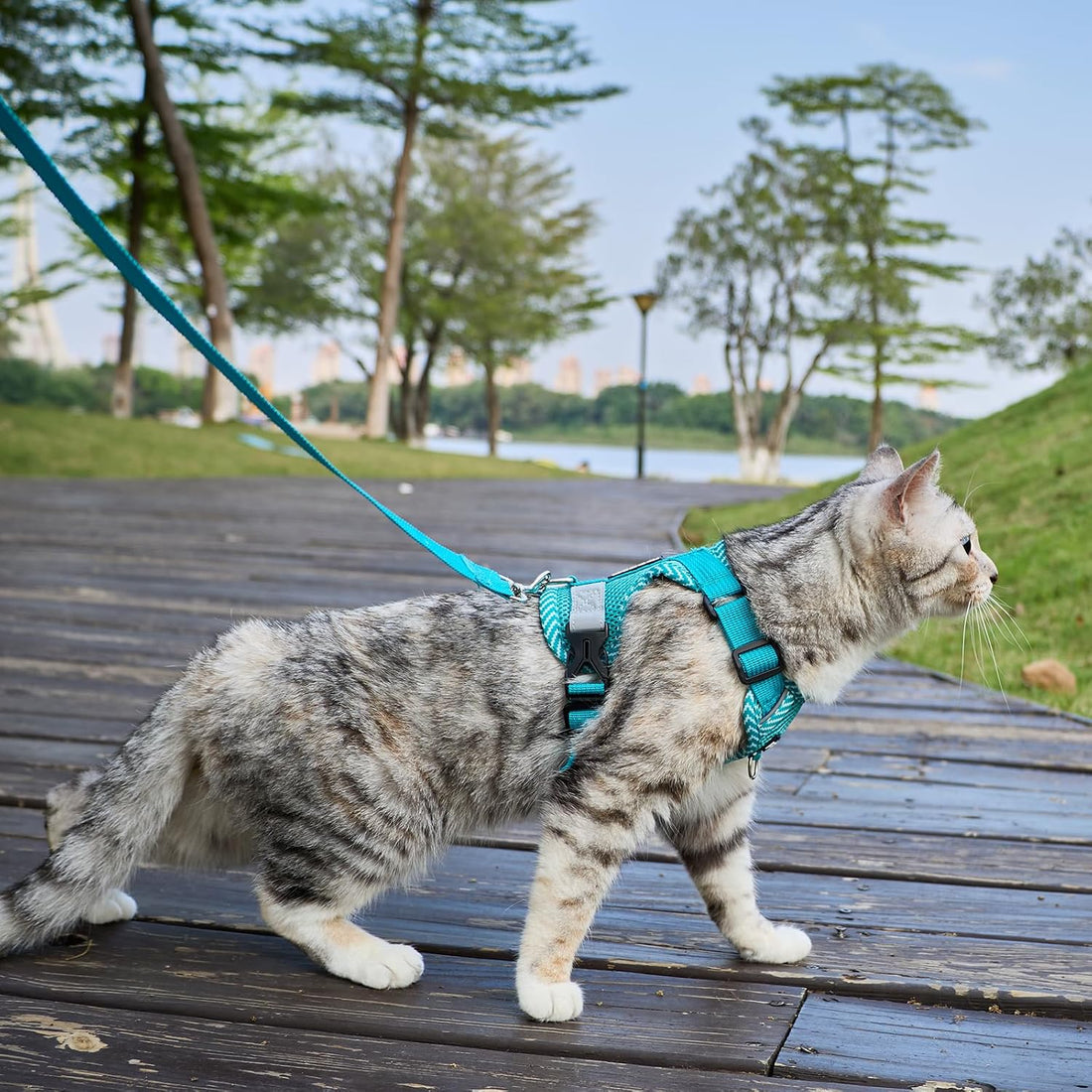 Cat Harness and Leash Set, Soft Mesh Cat Vest, Turquoise, XL