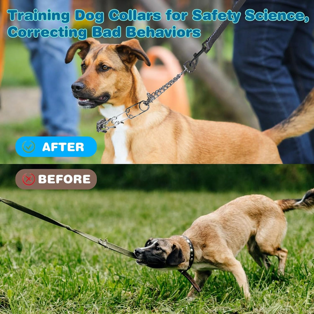 Prong Collar for Dogs,Dog Training Collar with One Training Leash