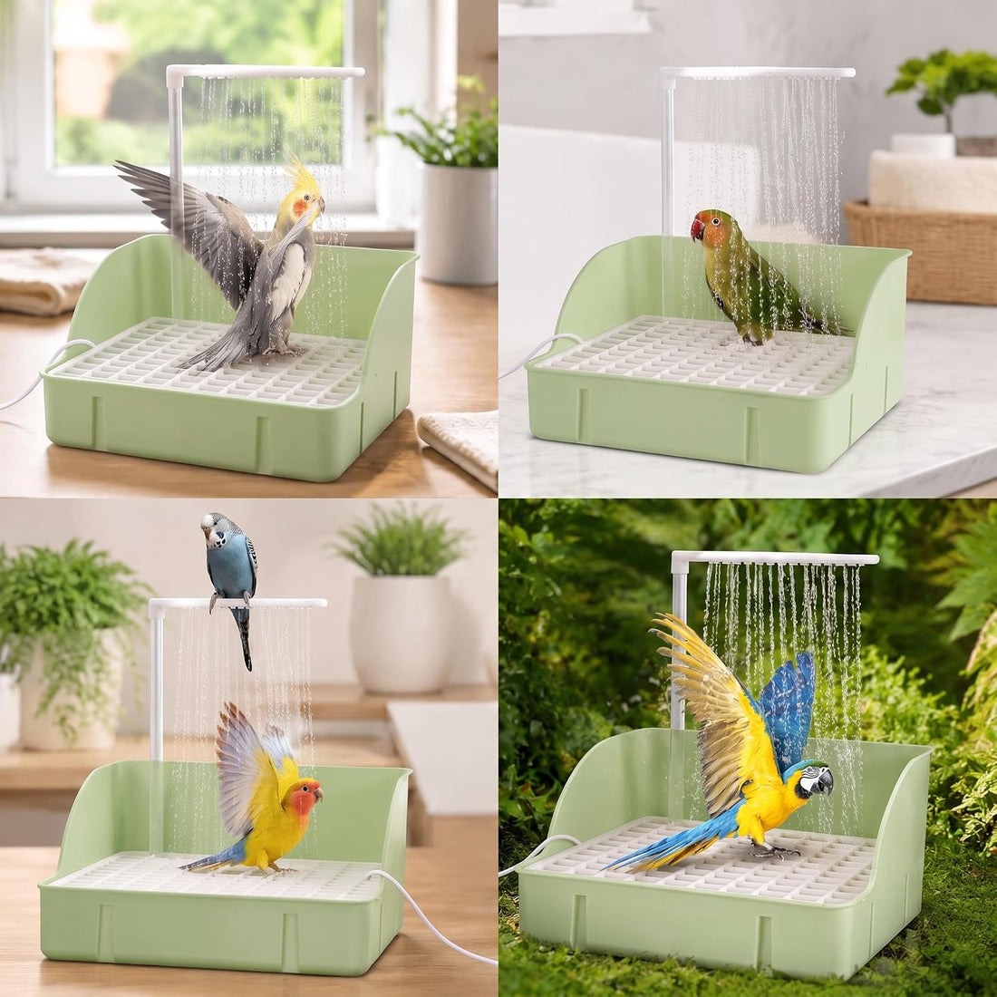 Pacify Automatic Bird Bath Large Bird Shower