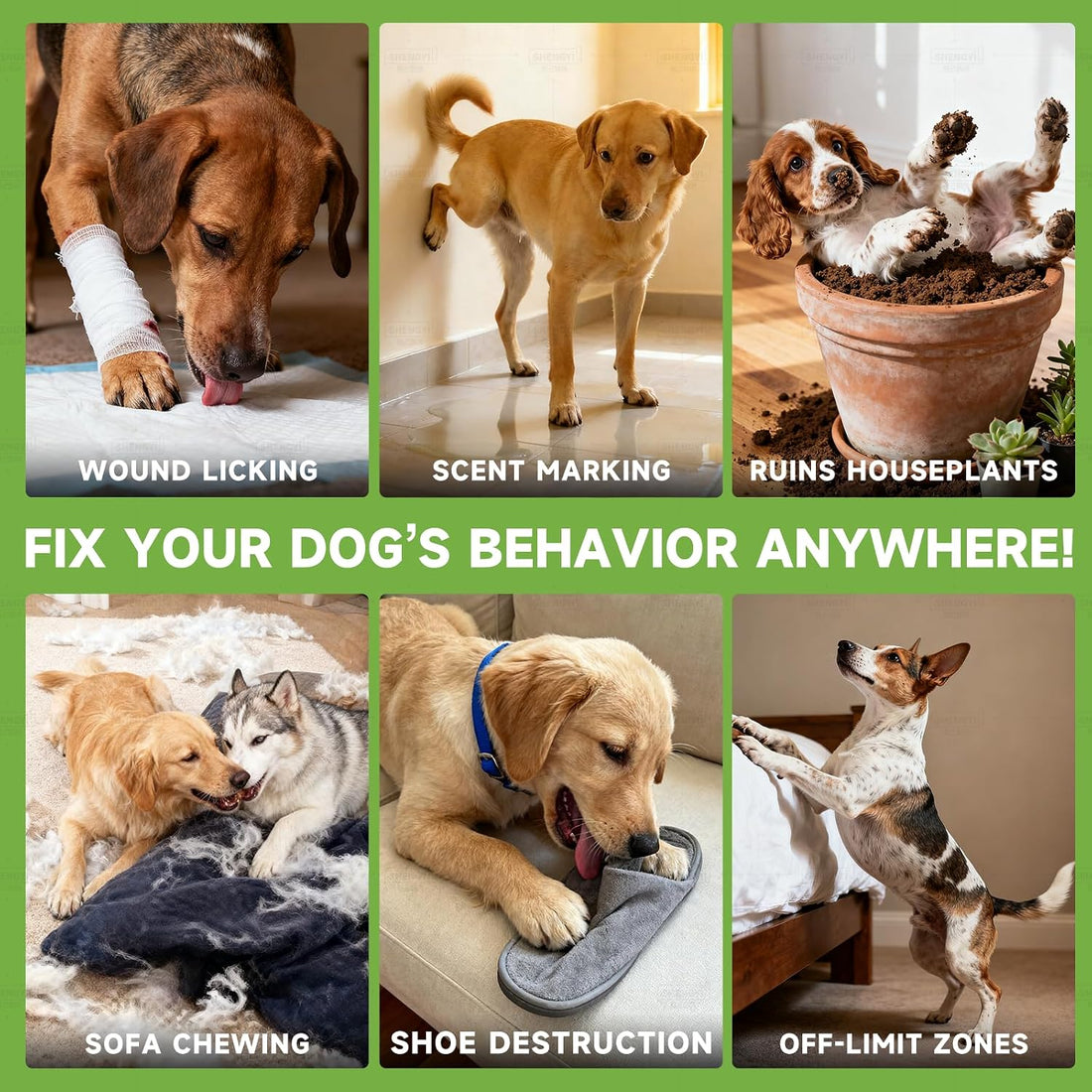BUGAZOOM‌ Bitter Dog No Chew Spray