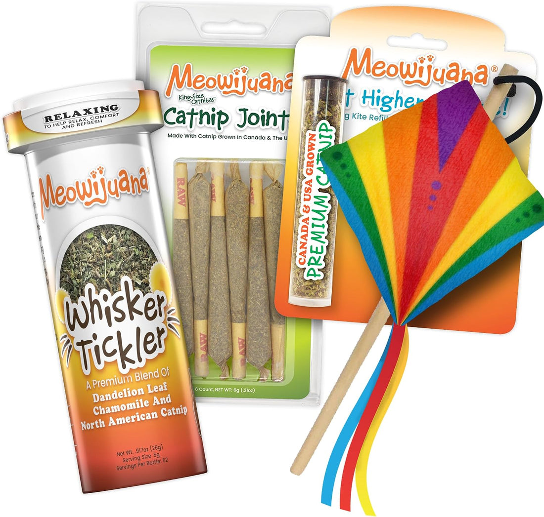 Meowijuana Catnip Rollies for Cats, King-Size 6-Pack | High Potency