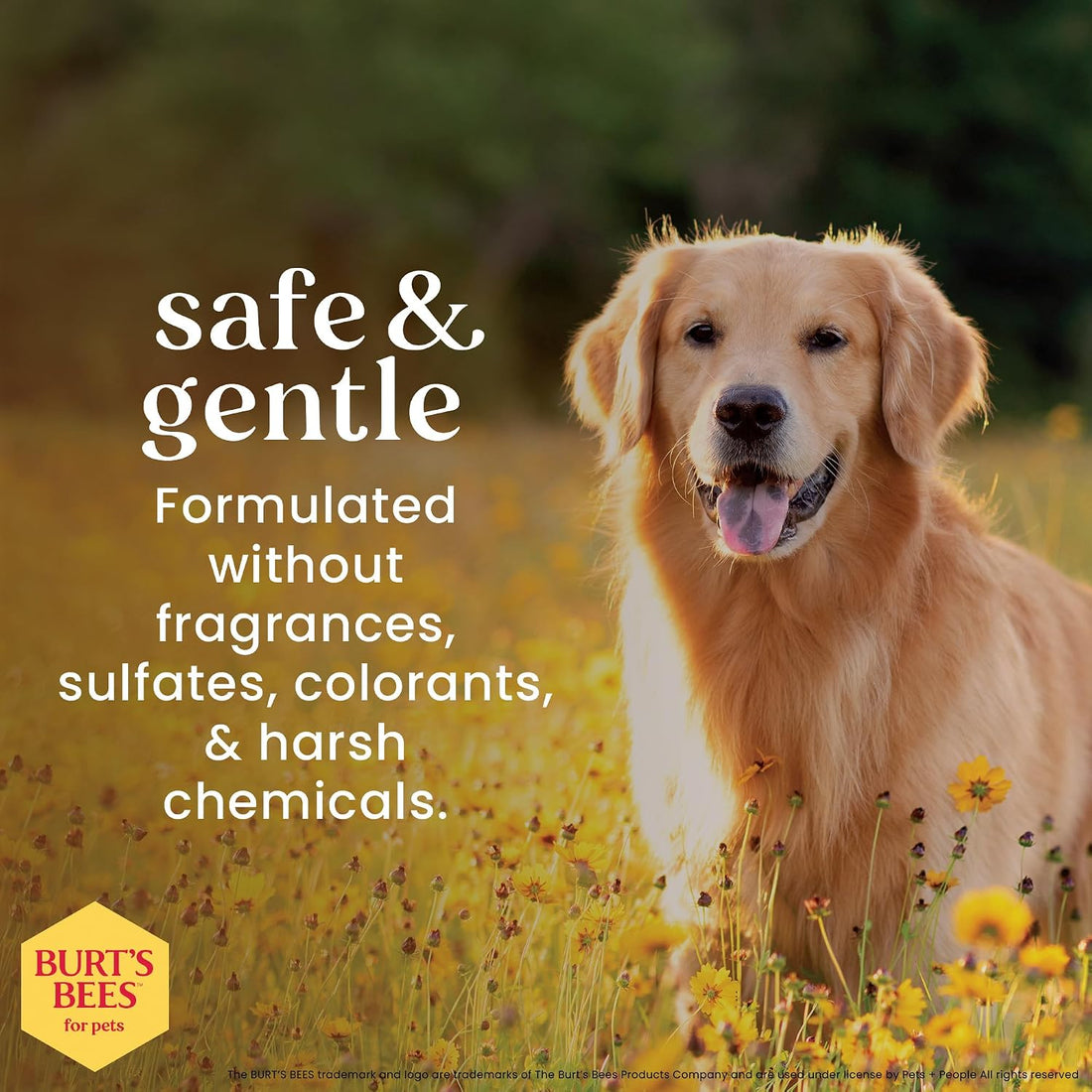 Burt's Bees for Pets Dog Tear Stain Removing Powder, 4 Oz