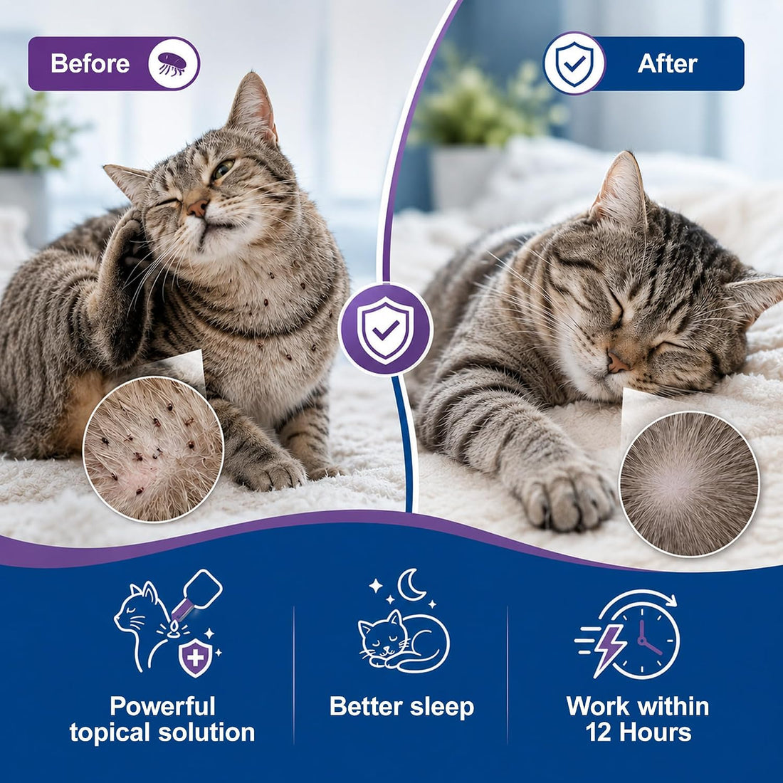 Topical Flea and Tick for Cats & Kitten Over 1.5 lbs and 8 Weeks