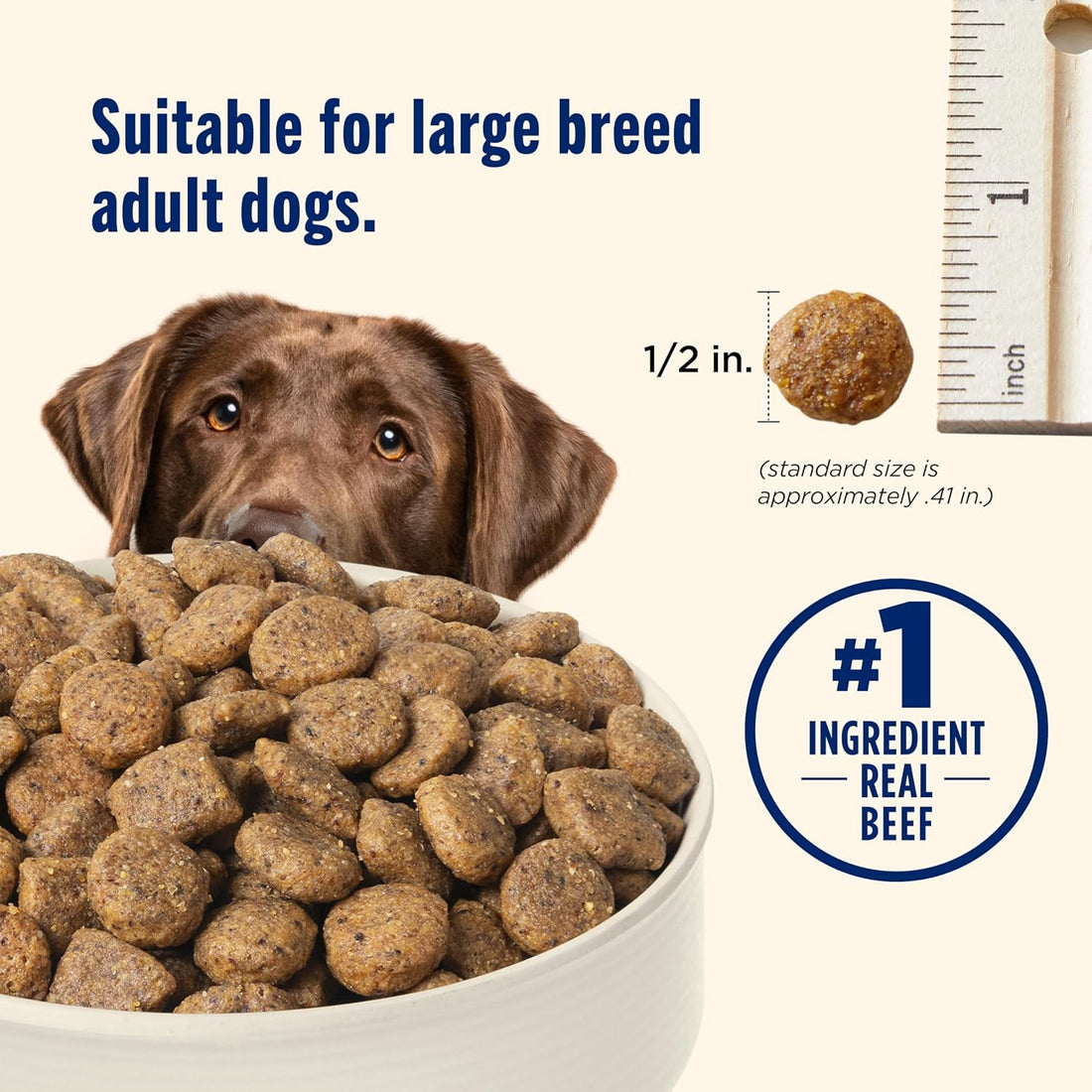 Nutrish Large Breed Dry Dog Food with Beef, 40 lb. Bag (Rachael Ray)